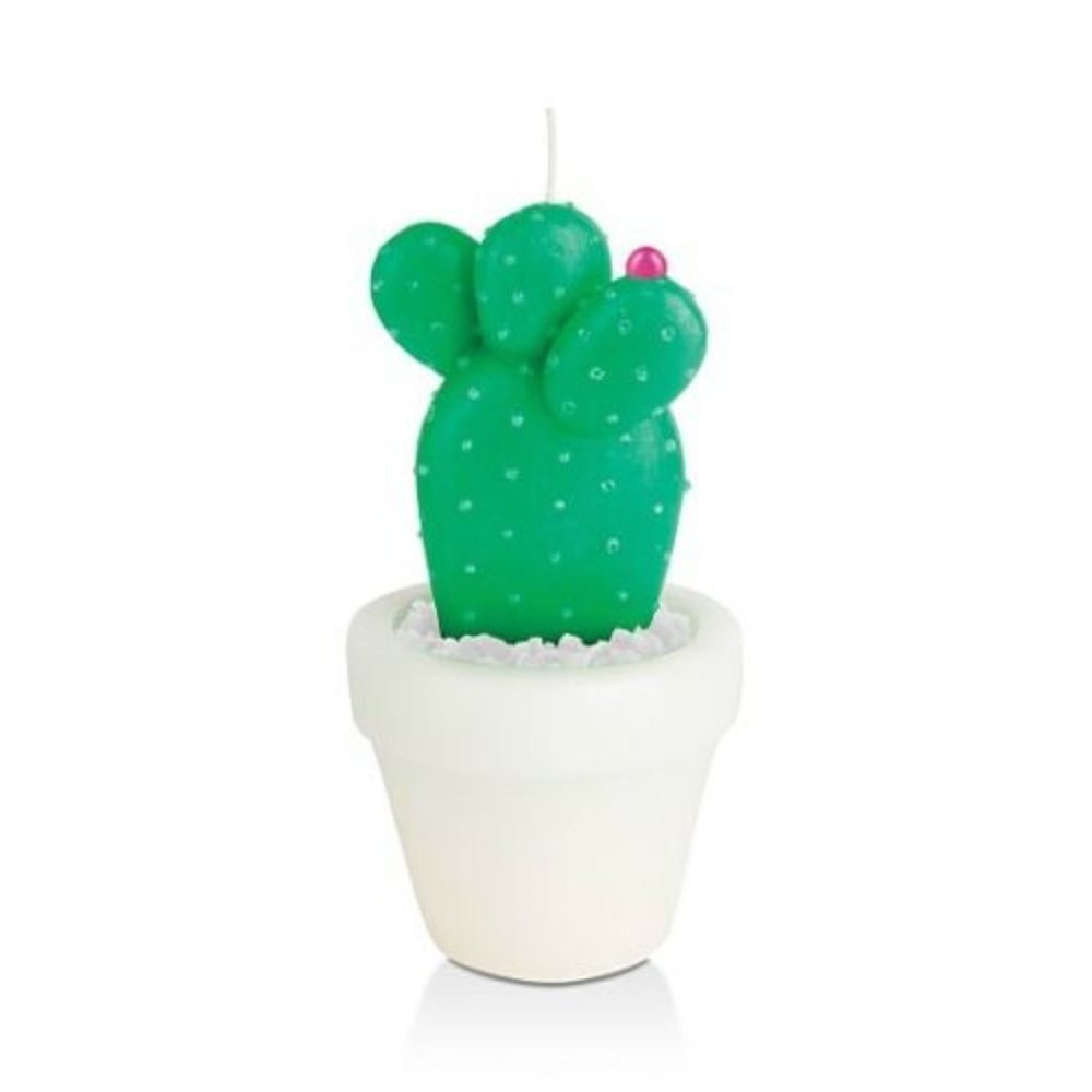 SUNNYLIFE Indoor Outdoor Decorative Large Round Cactus Scented Candle NIB